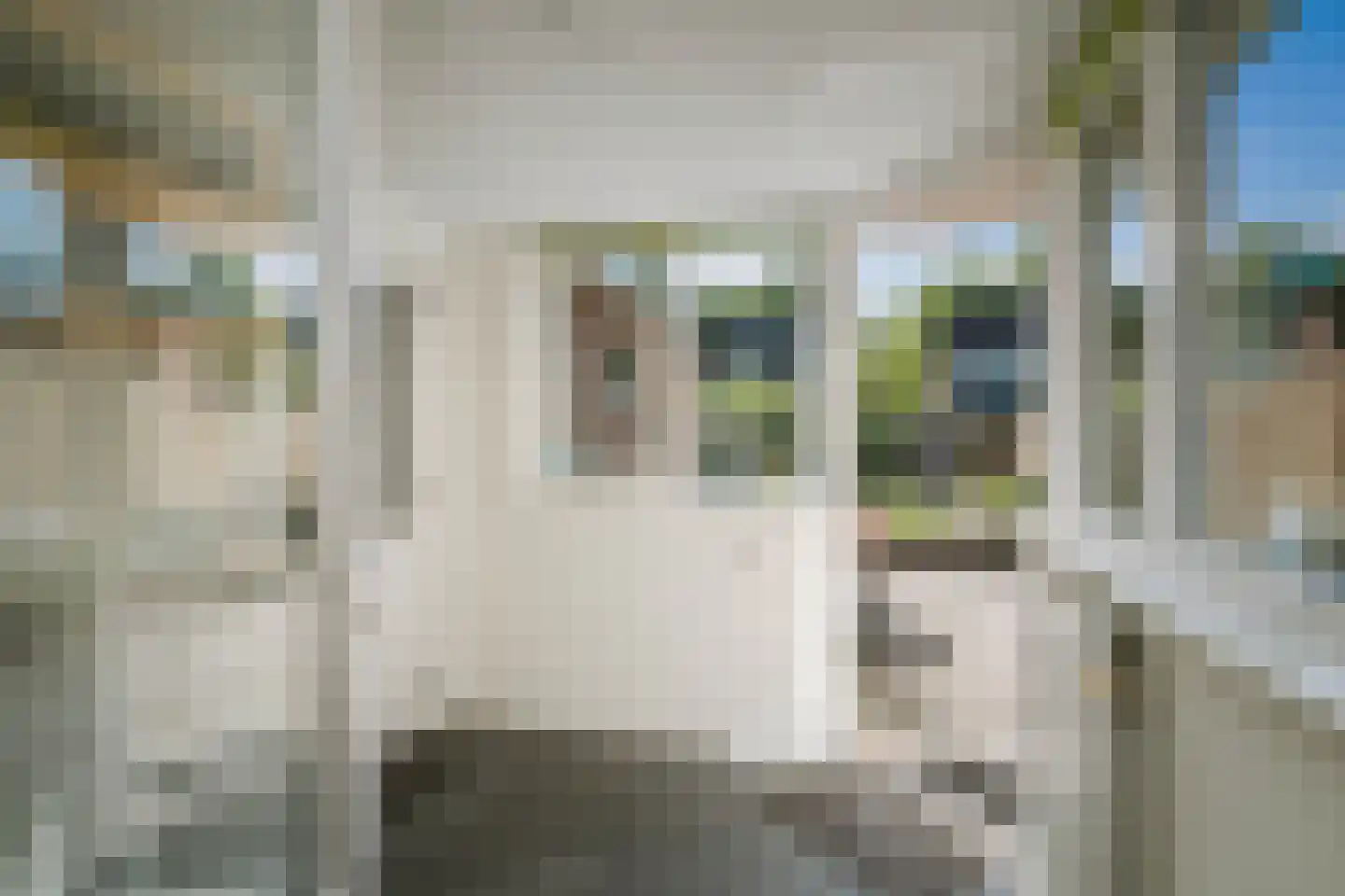 Het Koeland 1 Schalkhaar thumbnail 8