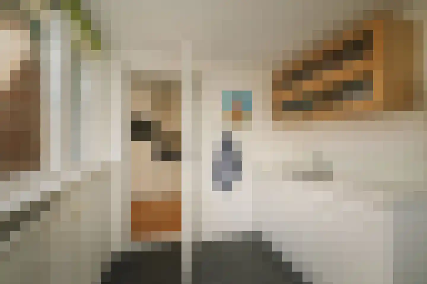 Het Koeland 1 Schalkhaar thumbnail 9