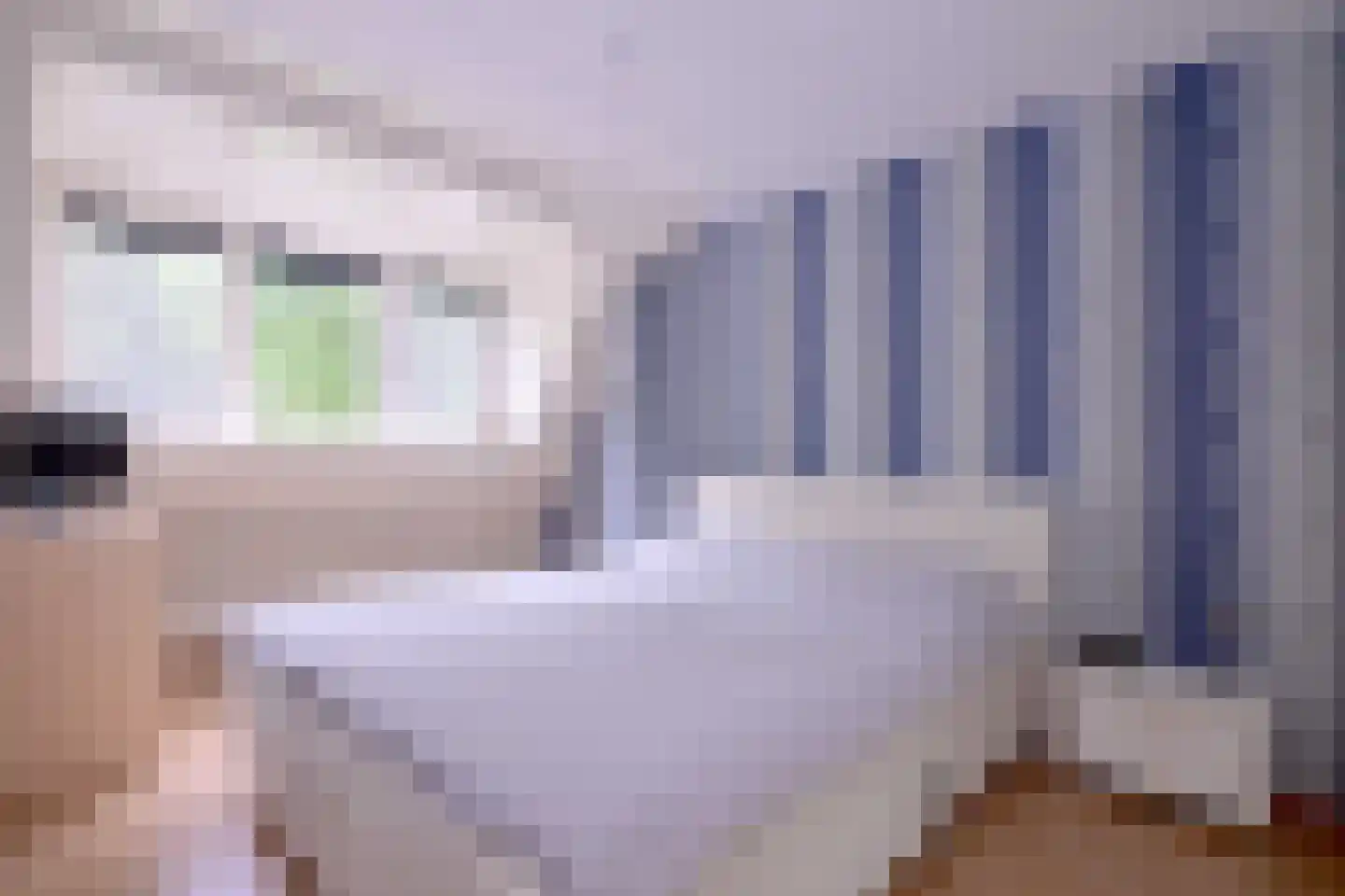 Het Koeland 11 Schalkhaar thumbnail 13