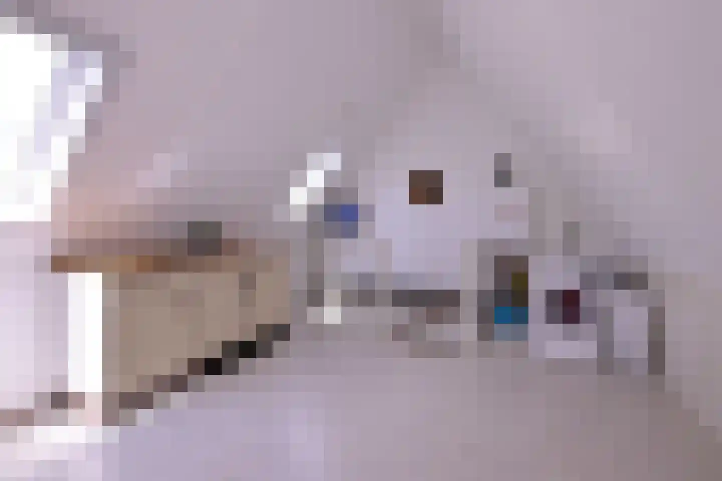 Het Koeland 11 Schalkhaar thumbnail 26