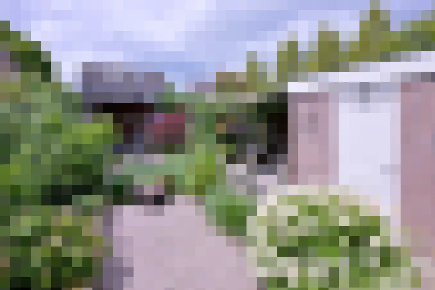 Het Koeland 11 Schalkhaar thumbnail 28