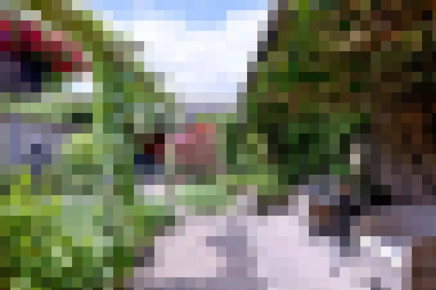 Het Koeland 11 Schalkhaar thumbnail 29