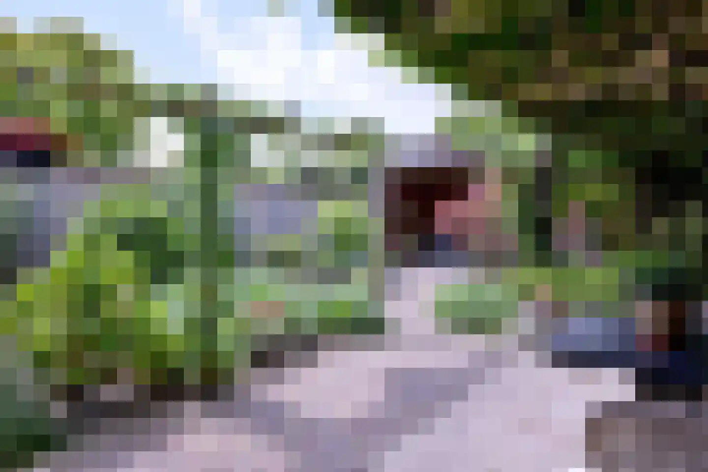 Het Koeland 11 Schalkhaar thumbnail 30