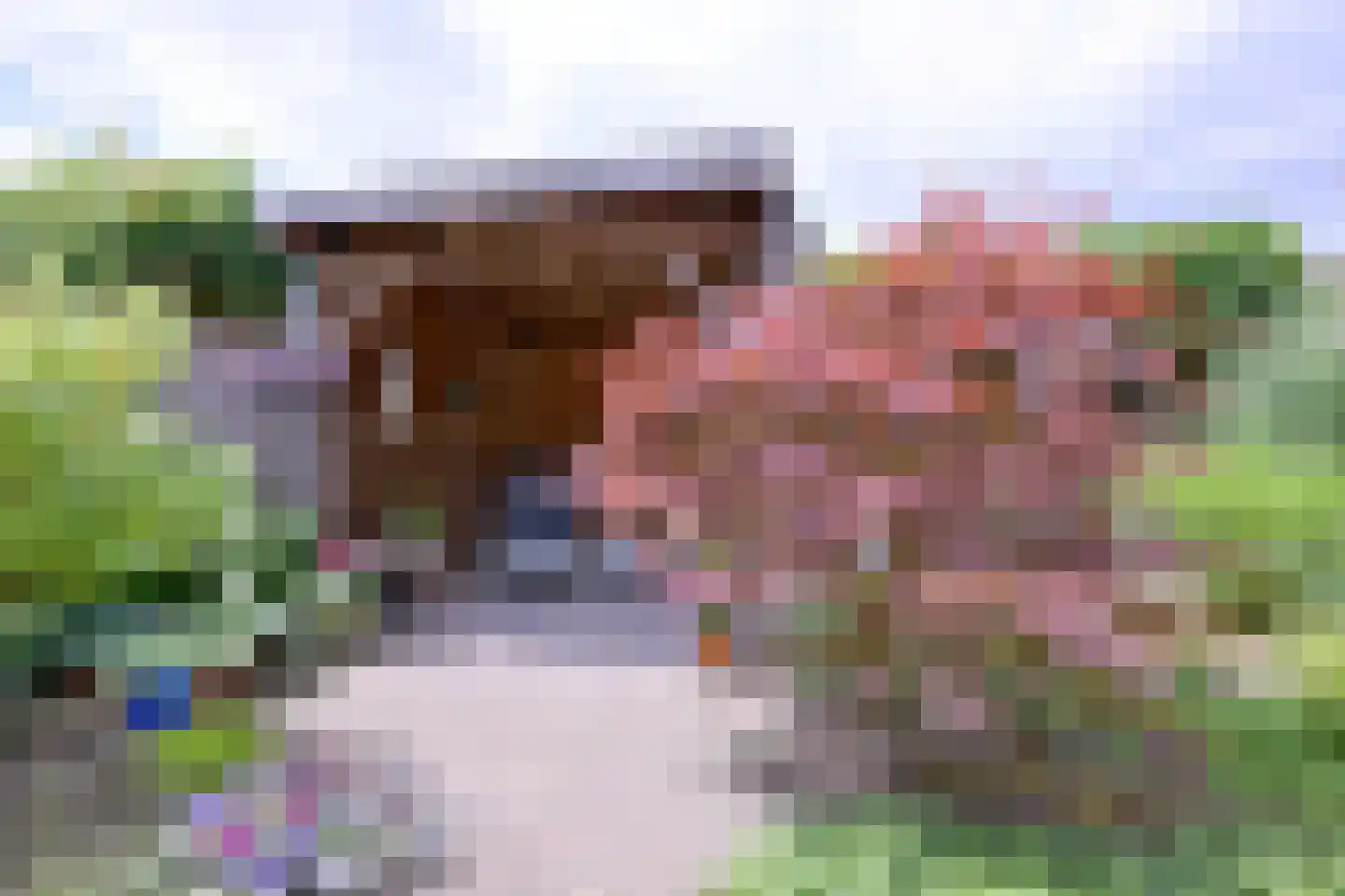 Het Koeland 11 Schalkhaar thumbnail 32