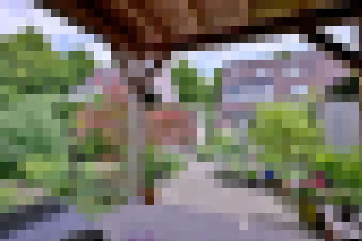 Het Koeland 11 Schalkhaar thumbnail 34