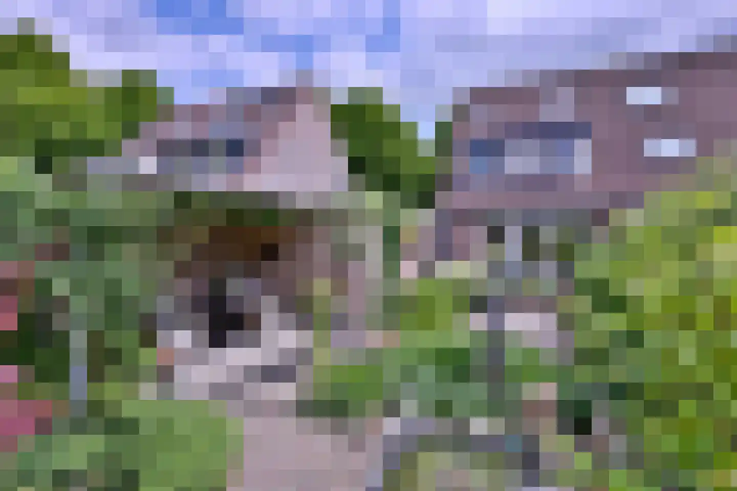 Het Koeland 11 Schalkhaar thumbnail 36