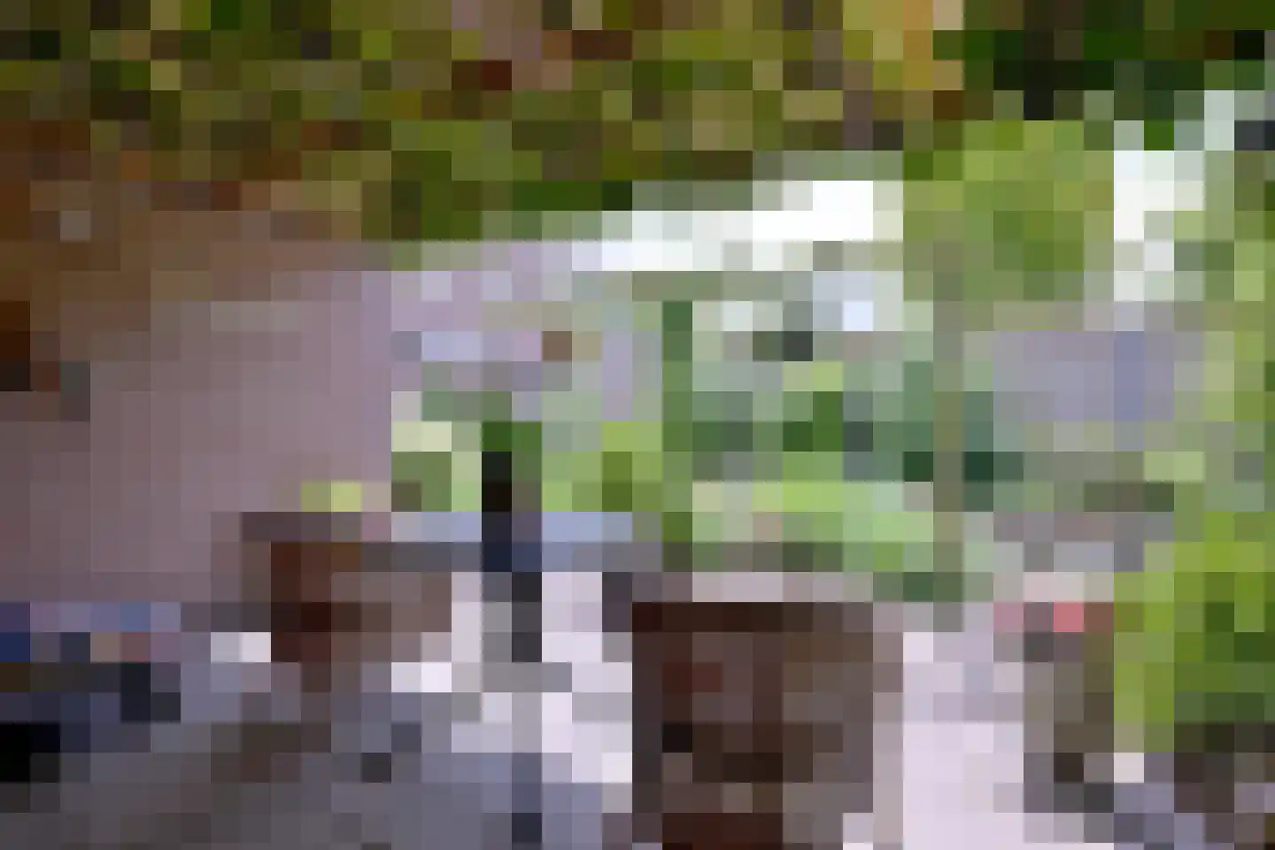 Het Koeland 11 Schalkhaar thumbnail 37