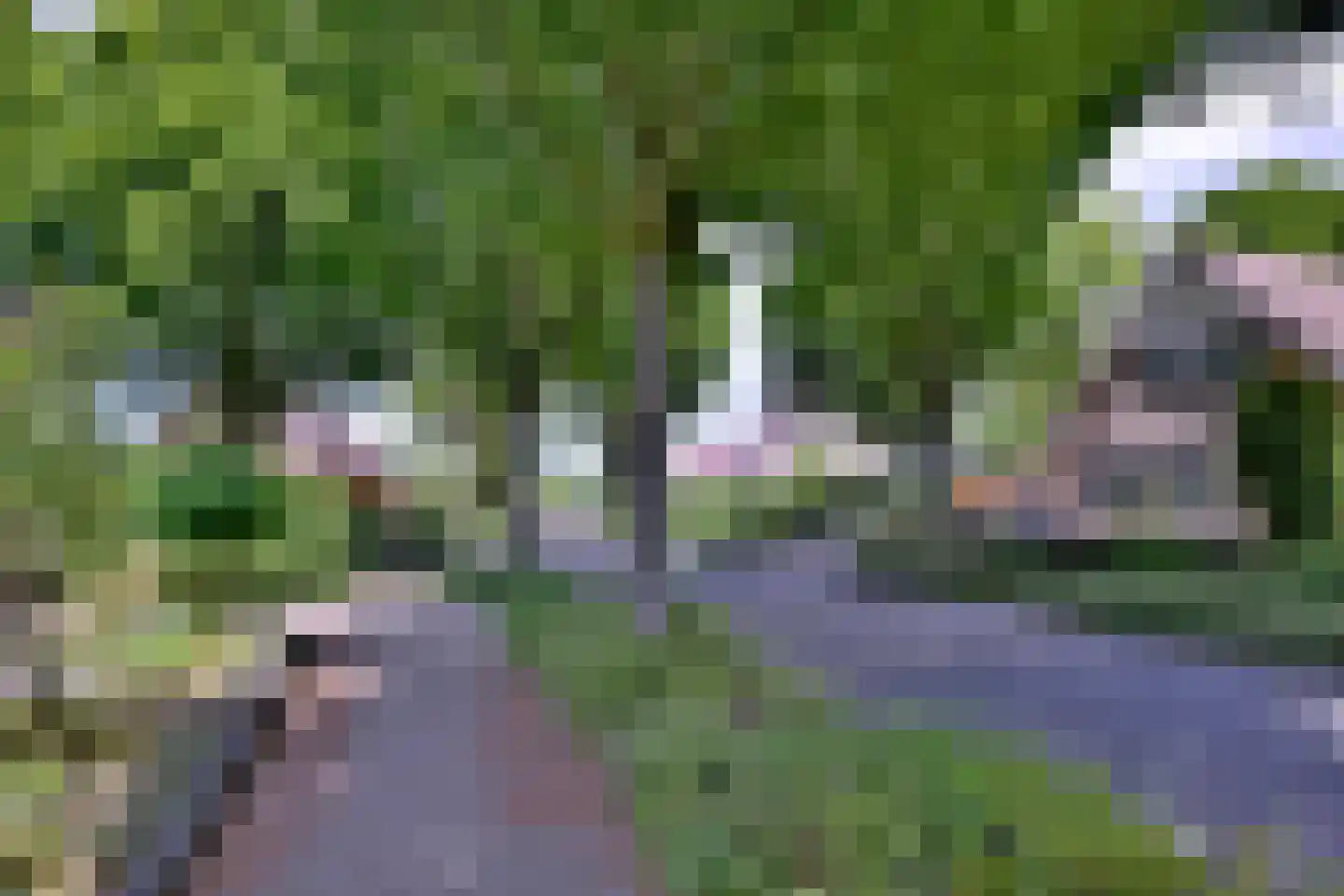 Het Koeland 11 Schalkhaar thumbnail 40