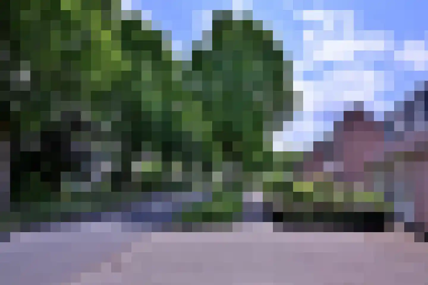 Het Koeland 11 Schalkhaar thumbnail 41