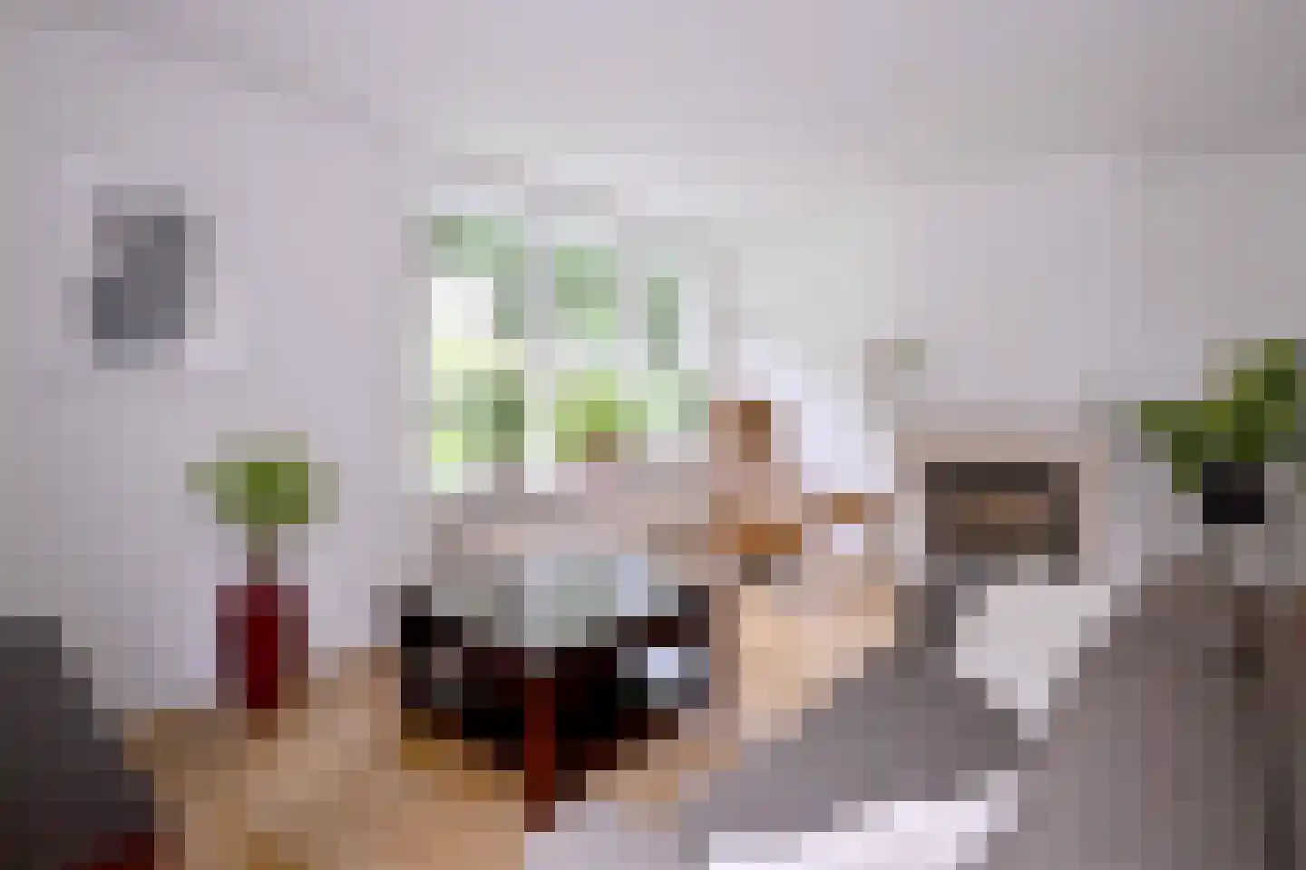 Het Koeland 11 Schalkhaar thumbnail 6