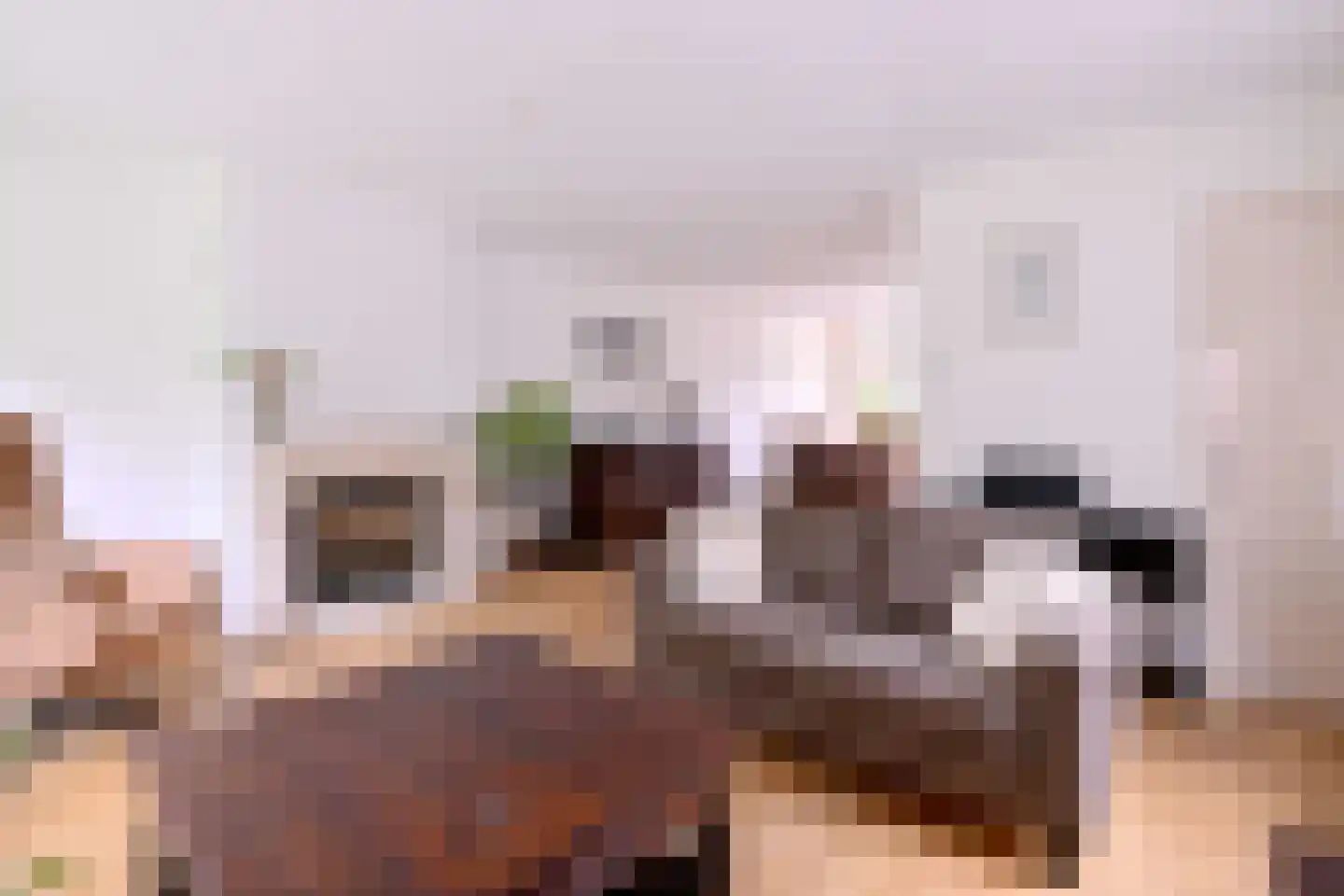 Het Koeland 11 Schalkhaar thumbnail 7