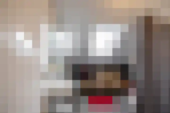 het Koetshuis 38 Tolbert thumbnail 20