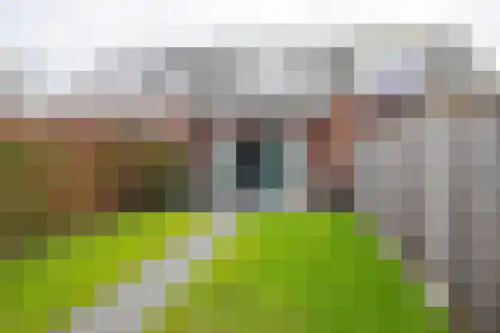het Koetshuis 38 Tolbert thumbnail 25