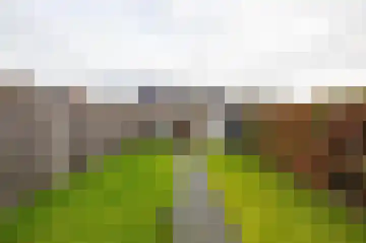 het Koetshuis 38 Tolbert thumbnail 30