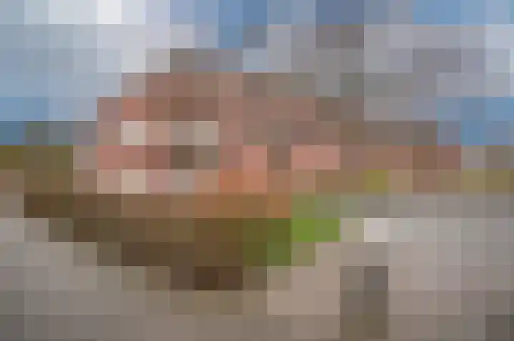 het Koggeplein 1 Zaltbommel thumbnail 36