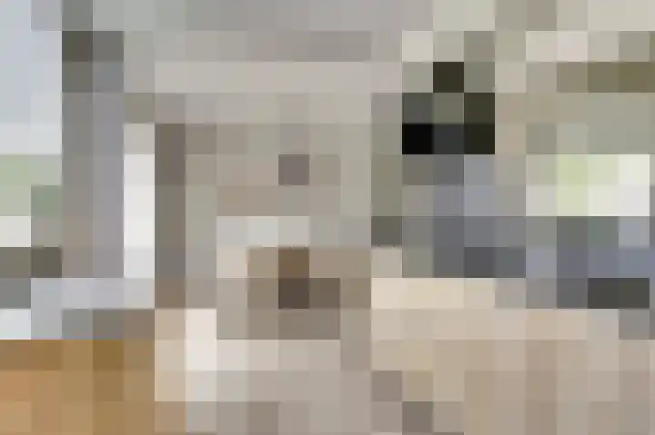 Het Kompas 1 Dronten thumbnail 11