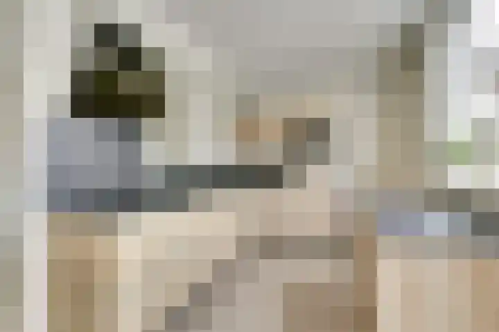 Het Kompas 1 Dronten thumbnail 12