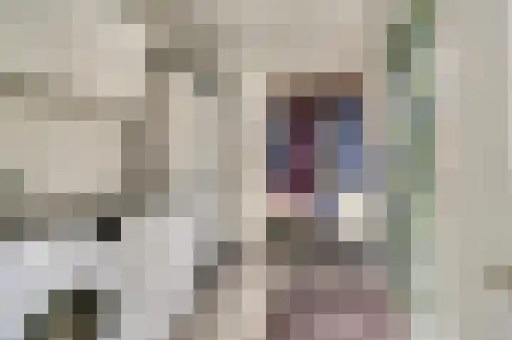 Het Kompas 1 Dronten thumbnail 15