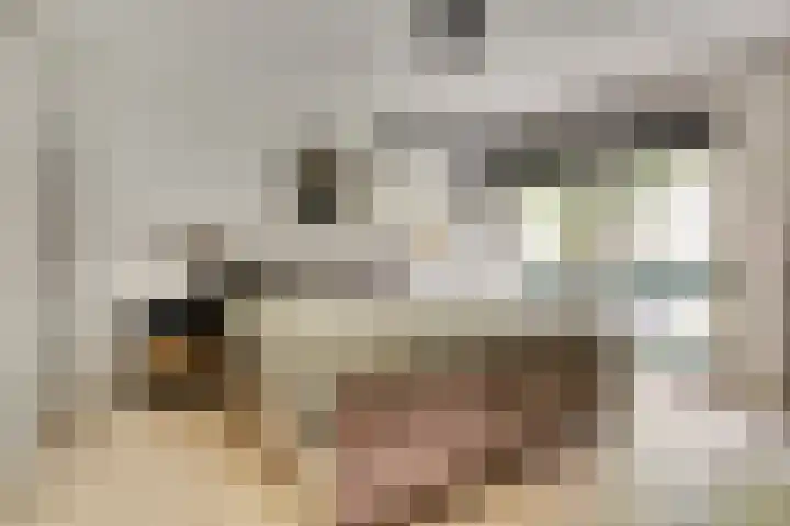 Het Kompas 1 Dronten thumbnail 18