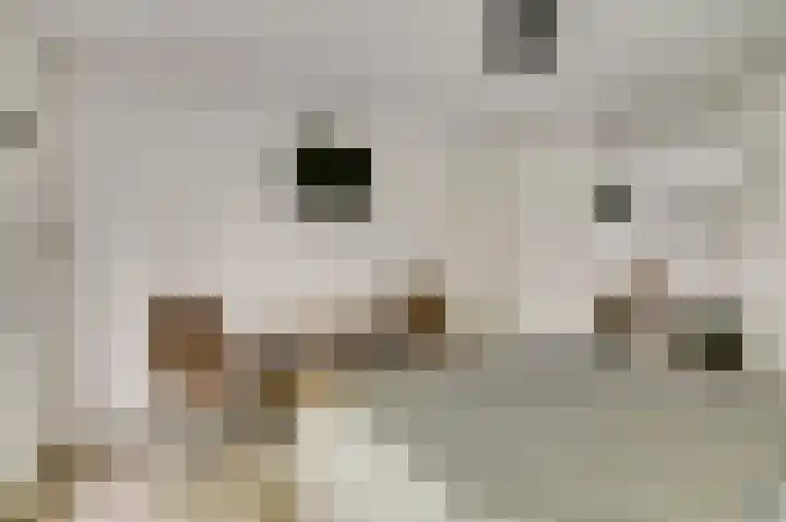Het Kompas 1 Dronten thumbnail 19
