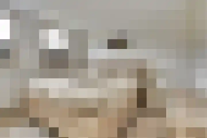 Het Kompas 1 Dronten thumbnail 20