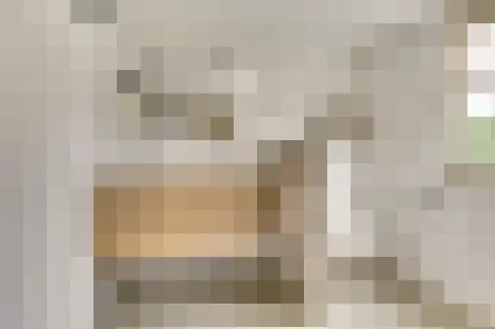 Het Kompas 1 Dronten thumbnail 23