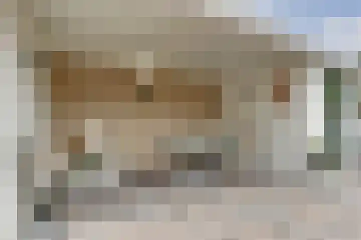 Het Kompas 1 Dronten thumbnail 32