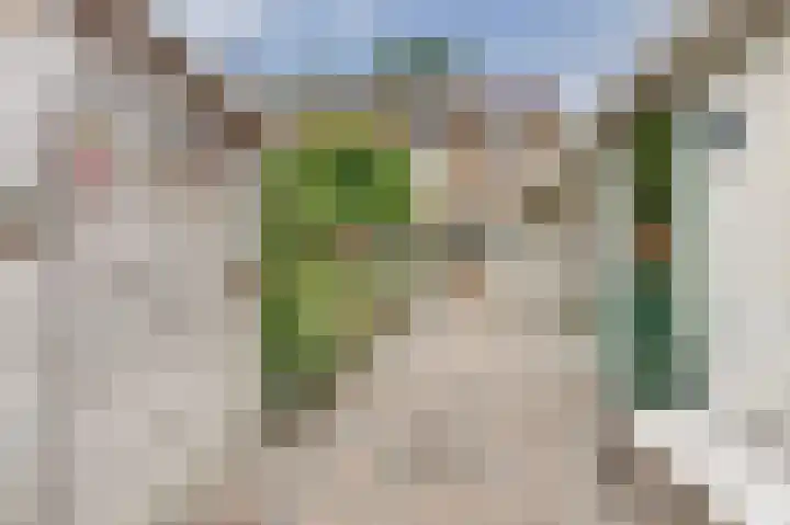 Het Kompas 1 Dronten thumbnail 33