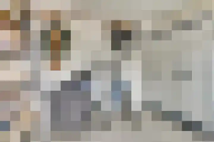 Het Kompas 1 Dronten thumbnail 35