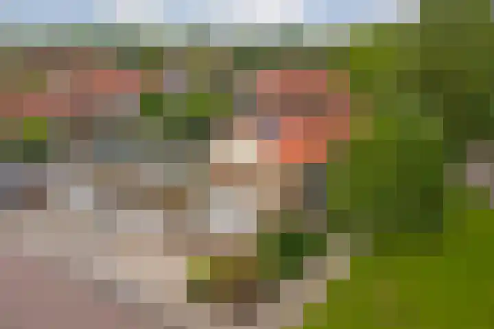 Het Kompas 1 Dronten thumbnail 40