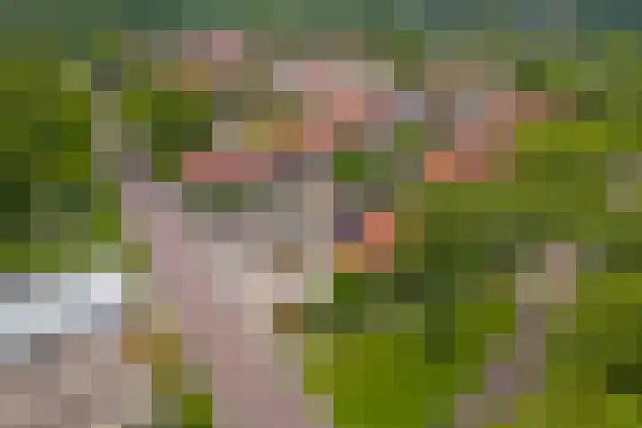 Het Kompas 1 Dronten thumbnail 41