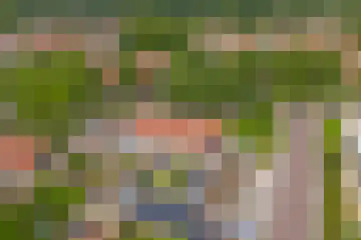 Het Kompas 1 Dronten thumbnail 42