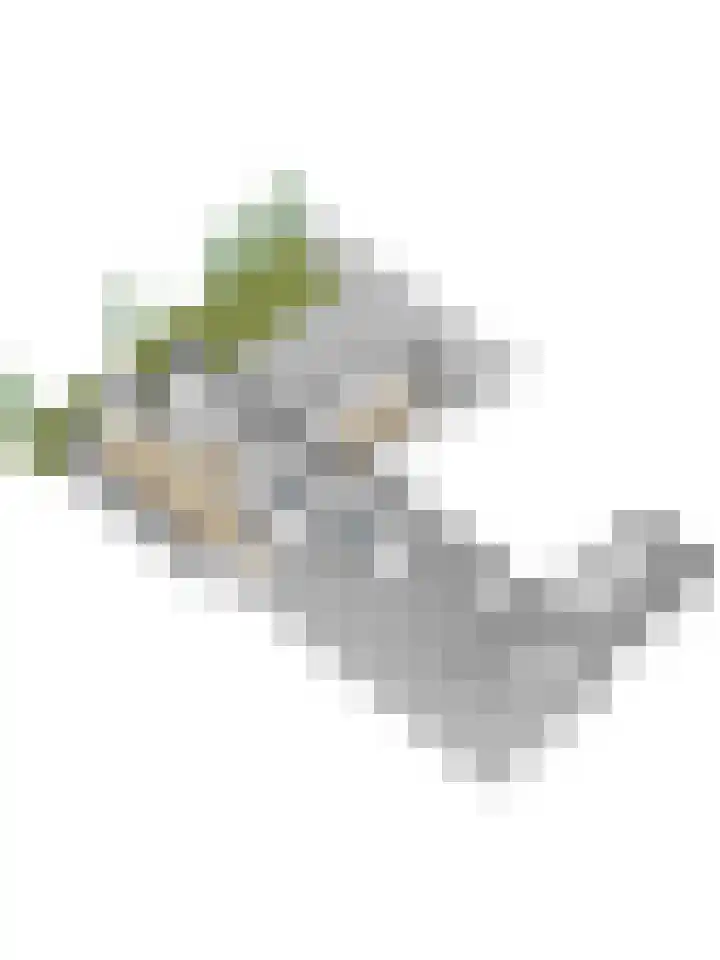 Het Kompas 1 Dronten thumbnail 46