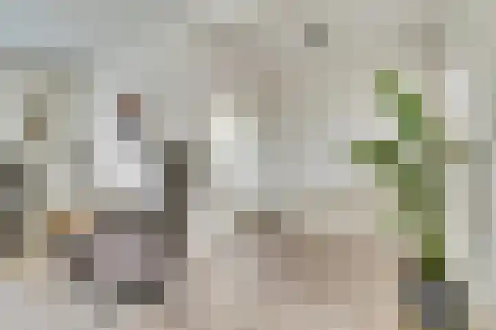 Het Kompas 1 Dronten thumbnail 7