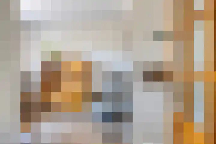 Het Kompas 10 Dronten thumbnail 10