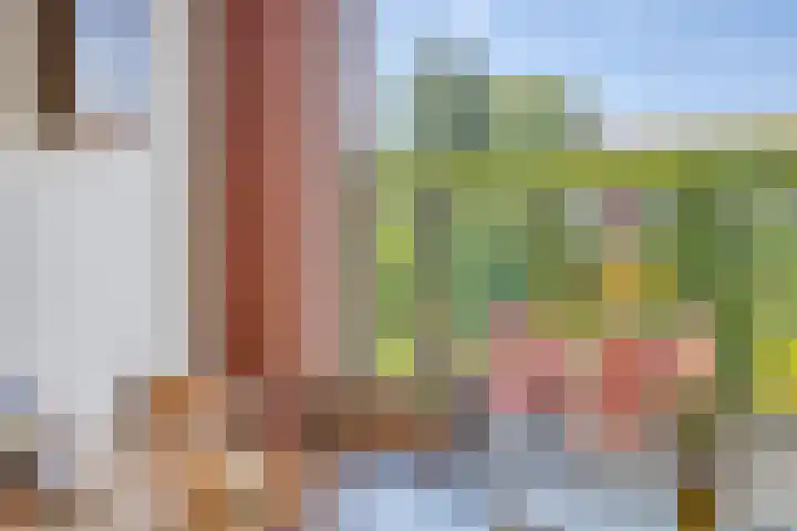Het Kompas 10 Dronten thumbnail 12