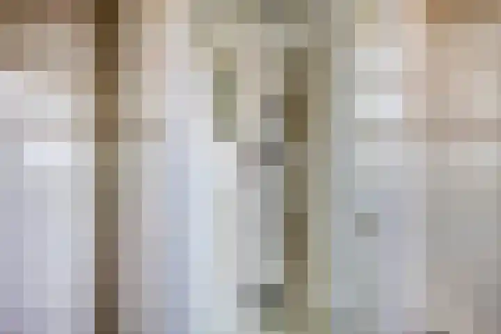 Het Kompas 10 Dronten thumbnail 28