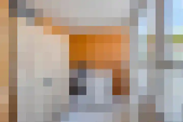 Het Kompas 10 Dronten thumbnail 34