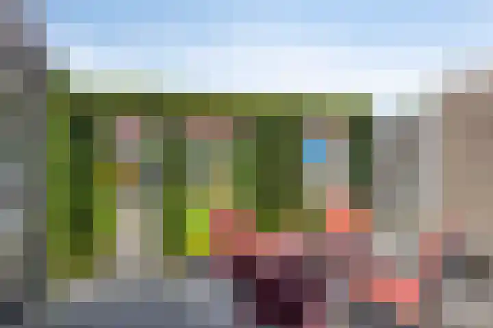 Het Kompas 10 Dronten thumbnail 35