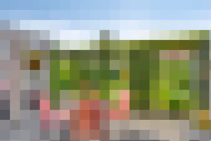 Het Kompas 10 Dronten thumbnail 36