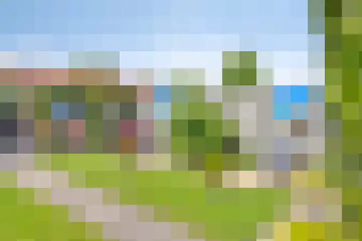 Het Kompas 10 Dronten thumbnail 39