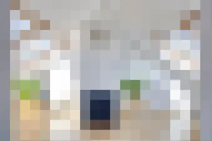 Het Kompas 10 Dronten thumbnail 4