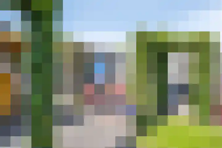 Het Kompas 10 Dronten thumbnail 40