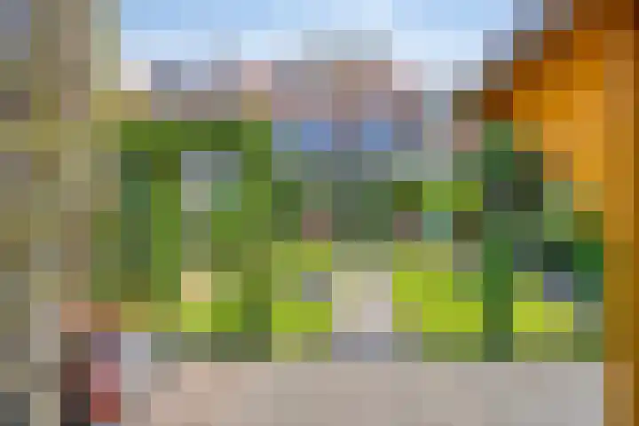Het Kompas 10 Dronten thumbnail 41