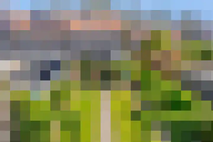 Het Kompas 10 Dronten thumbnail 44