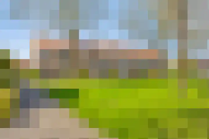 Het Kompas 10 Dronten thumbnail 47