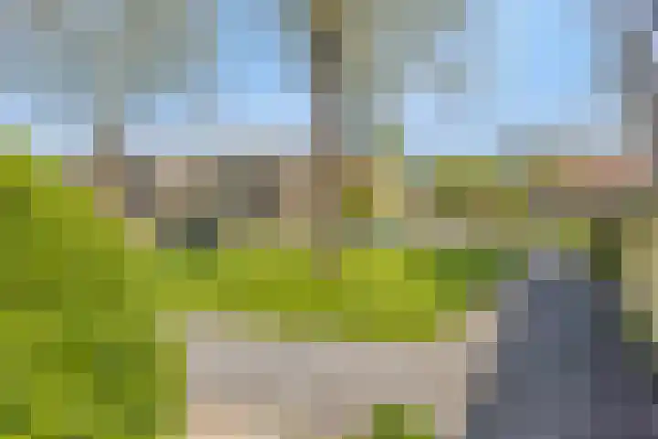 Het Kompas 10 Dronten thumbnail 48