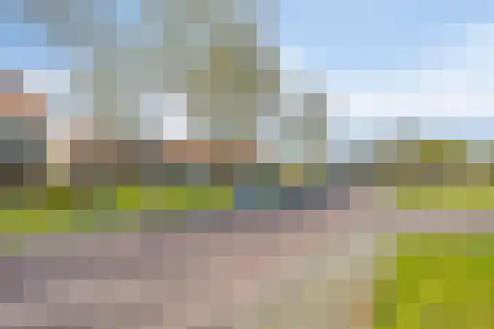 Het Kompas 10 Dronten thumbnail 49