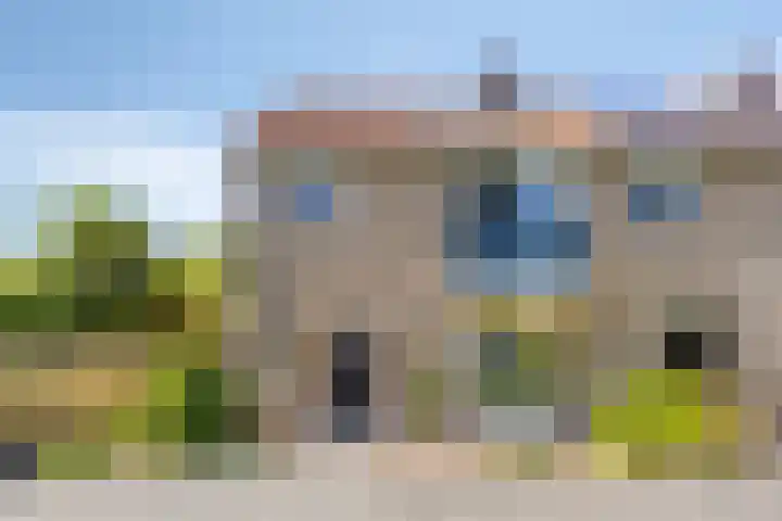 Het Kompas 10 Dronten thumbnail 6