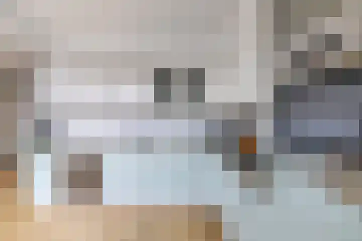 Het Kompas 17 Dronten thumbnail 13